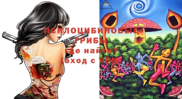 spice Беломорск