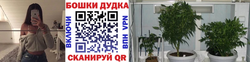 Бошки Шишки Bruce Banner  сколько стоит  Бийск 